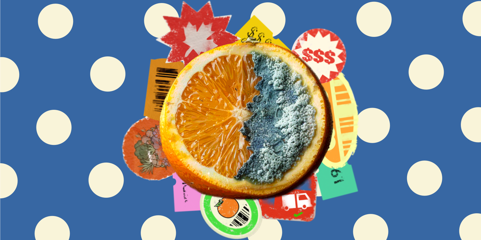 Oranges